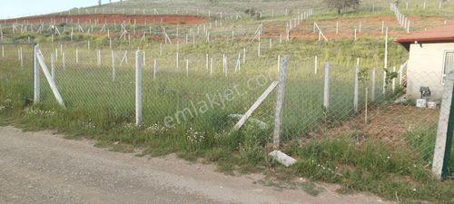 Arsa-Bağ & Bahçe