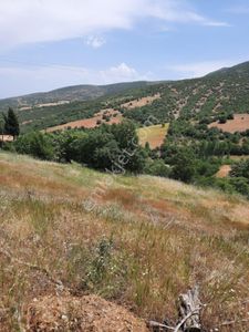 Arsa-Tarla