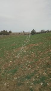 Arsa-Tarla