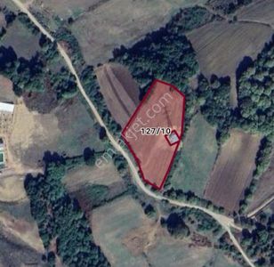 Arsa-Tarla
