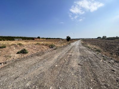 Arsa-Tarla
