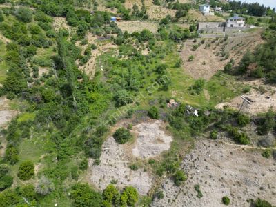 Arsa-Zeytinlik