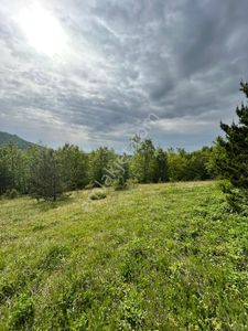 Arsa-Tarla