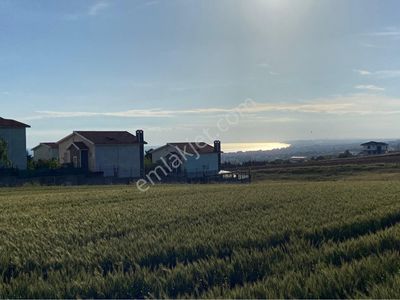 Arsa-Villa İmarlı