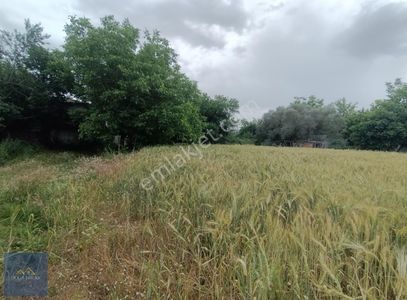 Arsa-Tarla