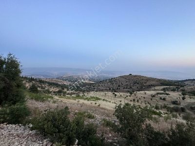 Arsa-Bağ & Bahçe