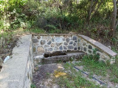 Arsa-Bağ & Bahçe