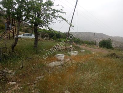Arsa-Tarla