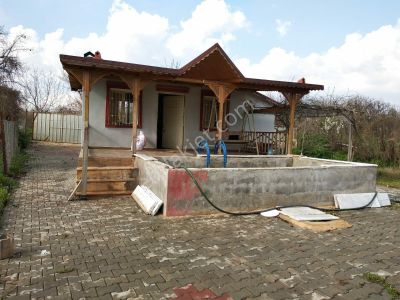 Arsa-Bağ & Bahçe