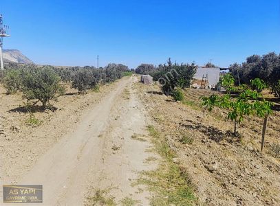 Arsa-Bağ & Bahçe
