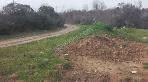 Arsa-Bağ & Bahçe
