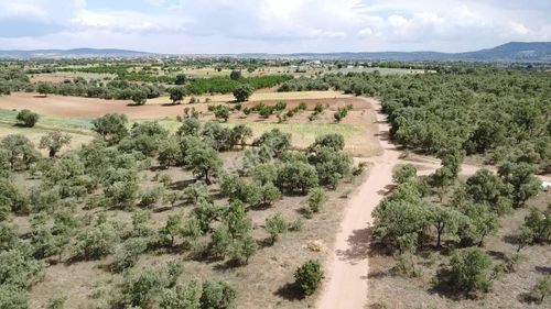 Arsa-Tarla