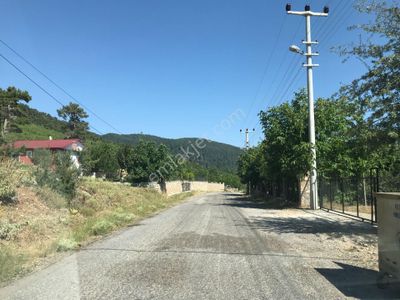 Arsa-Konut İmarlı