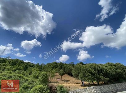 Arsa-Turizm İmarlı