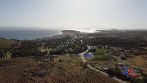 Arsa-Konut+Ticaret Alanı