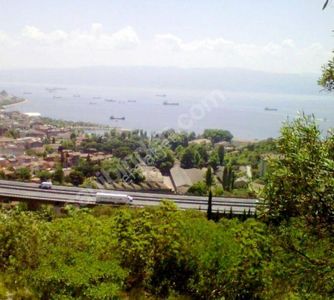 Arsa-Konut İmarlı