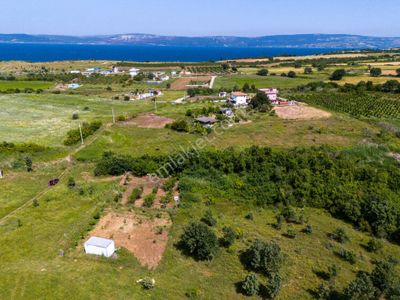 Arsa-Arazi