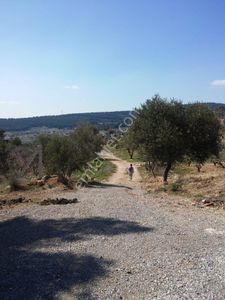 Arsa-Bağ & Bahçe