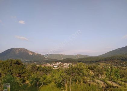 Arsa-Tarla