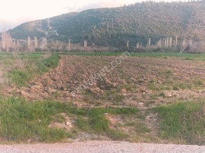 Arsa-Tarla