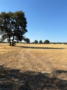 Arsa-Tarla
