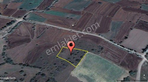 Arsa-Tarla