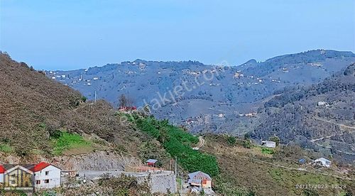 Arsa-Bağ & Bahçe