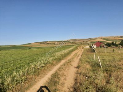 Arsa-Tarla