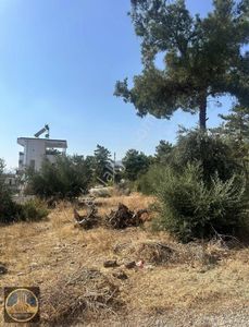 Arsa-Villa İmarlı