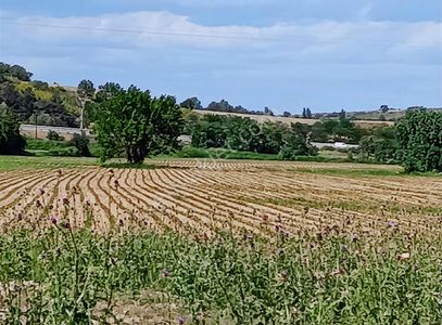 Arsa-Tarla