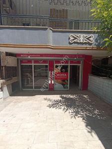 İşyeri-Dükkan & Mağaza