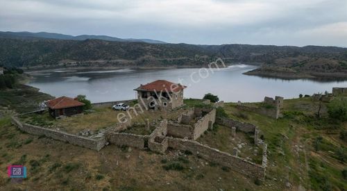 Arsa-Zeytinlik