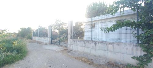Arsa-Bağ & Bahçe