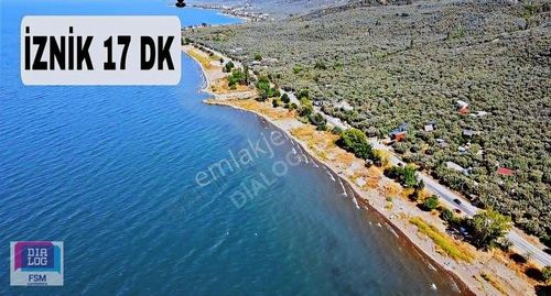 Arsa-Zeytinlik