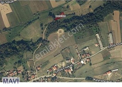 Arsa-Tarla