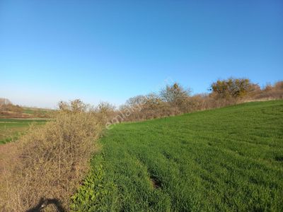 Arsa-Tarla
