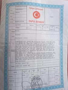 Arsa-Zeytinlik
