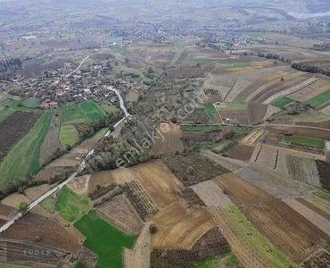 Arsa-Tarla