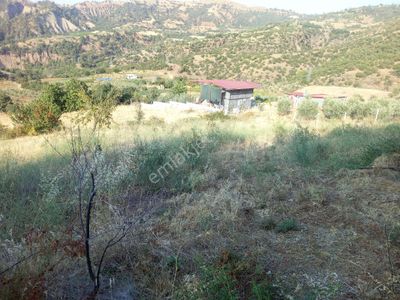 Arsa-Tarla