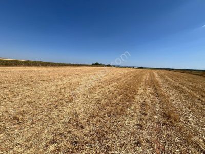 Arsa-Tarla