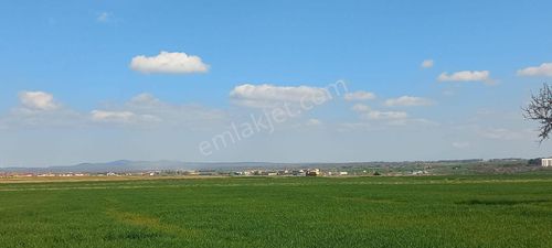 Arsa-Tarla