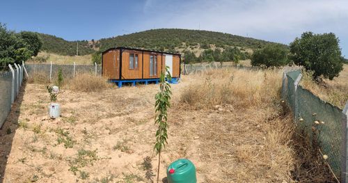 Arsa-Tarla