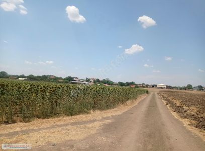 Arsa-Tarla
