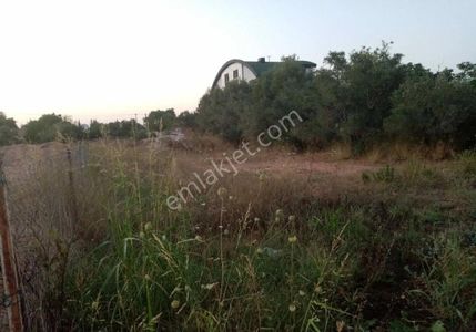 Arsa-Konut İmarlı