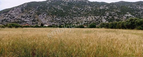 Arsa-Tarla