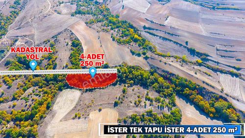 Arsa-Tarla