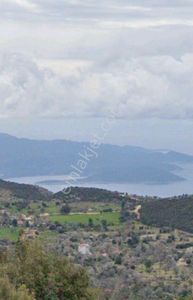 Arsa-Tarla