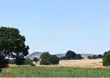 Arsa-Tarla