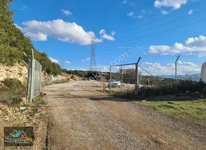 Arsa-Depo, Antrepo İzinli
