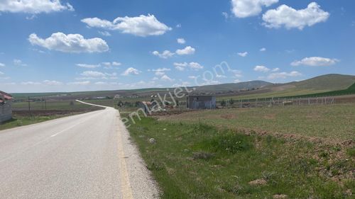 Arsa-Bağ & Bahçe
